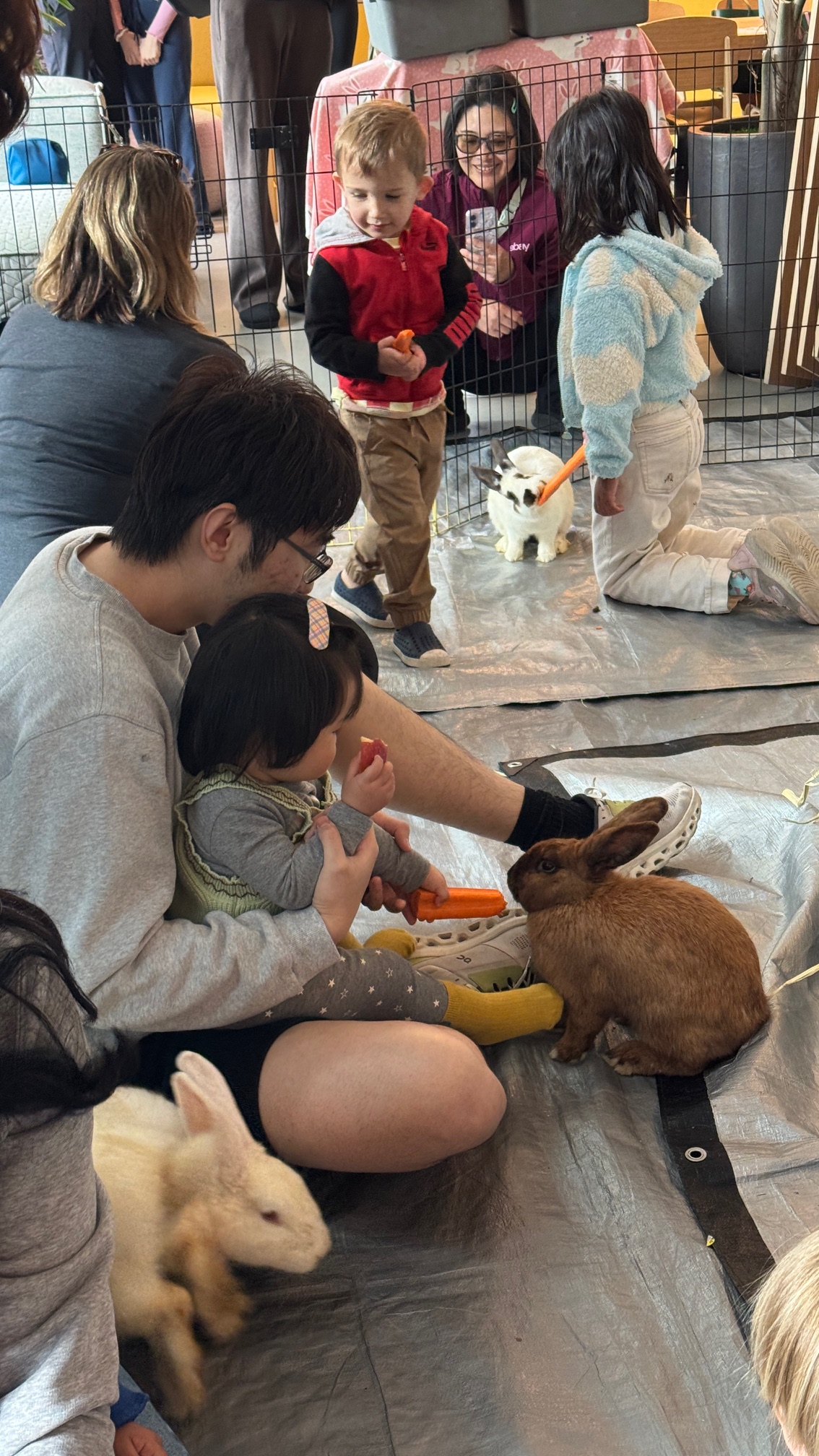 Therapeutic Bunny Experience Image 5