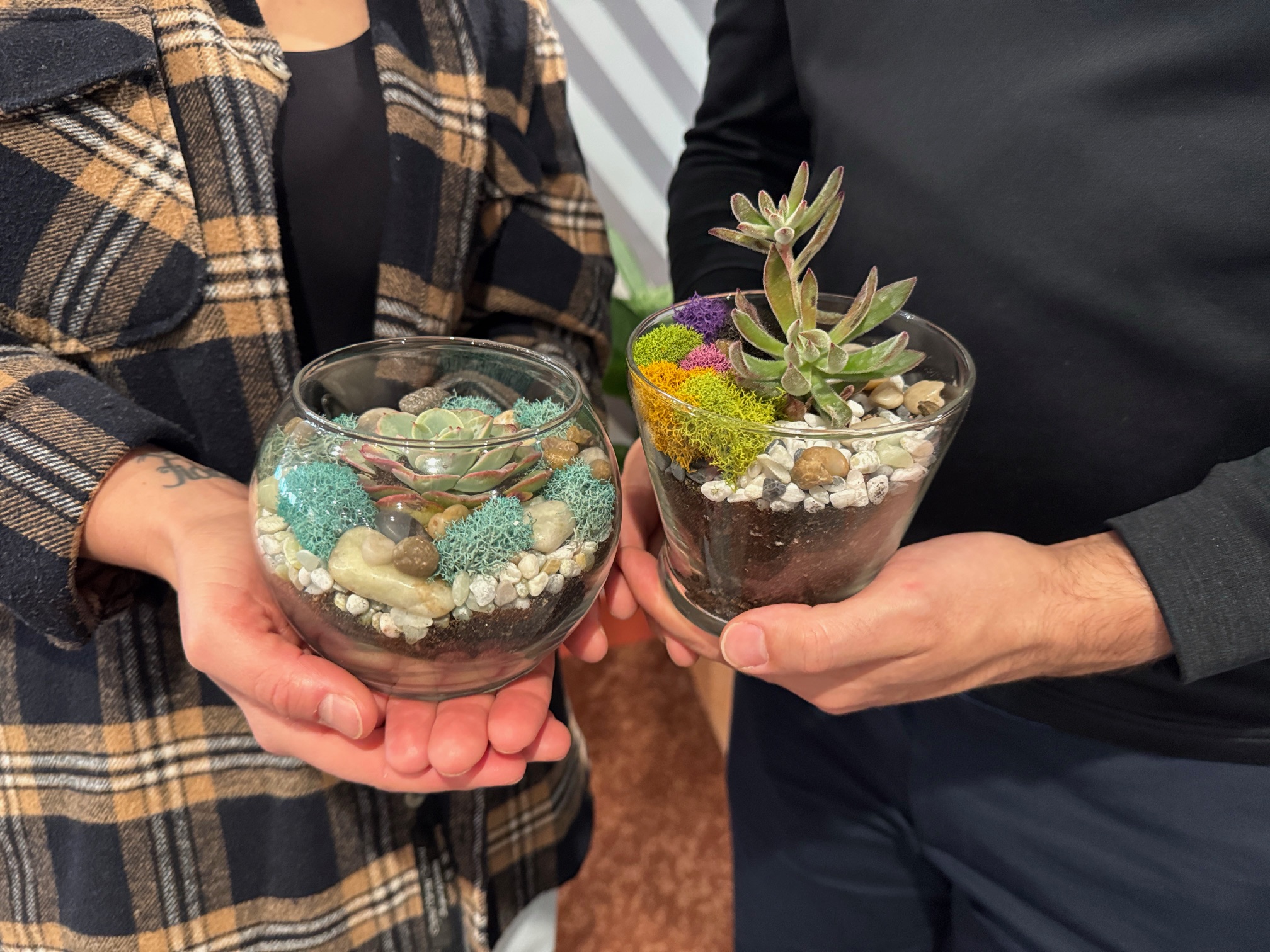 Terrarium Tales Image 2