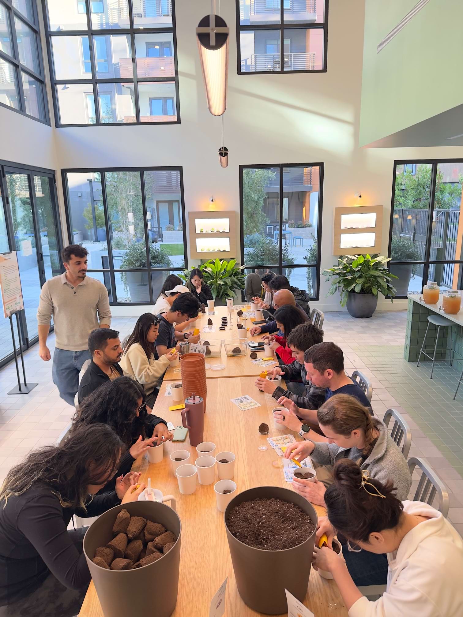 Hydroponics Workshop Image 1