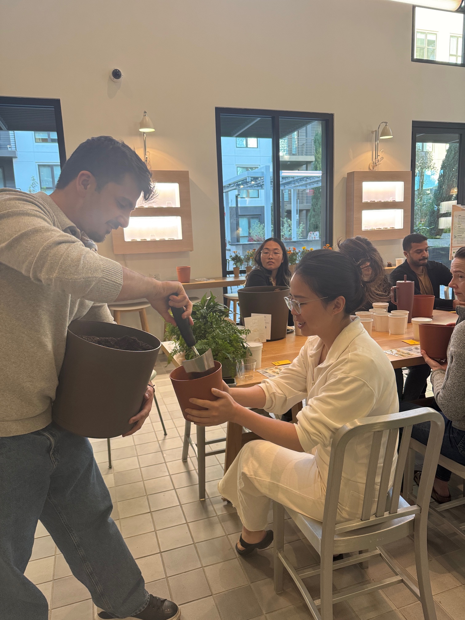 Hydroponics Workshop Image 2