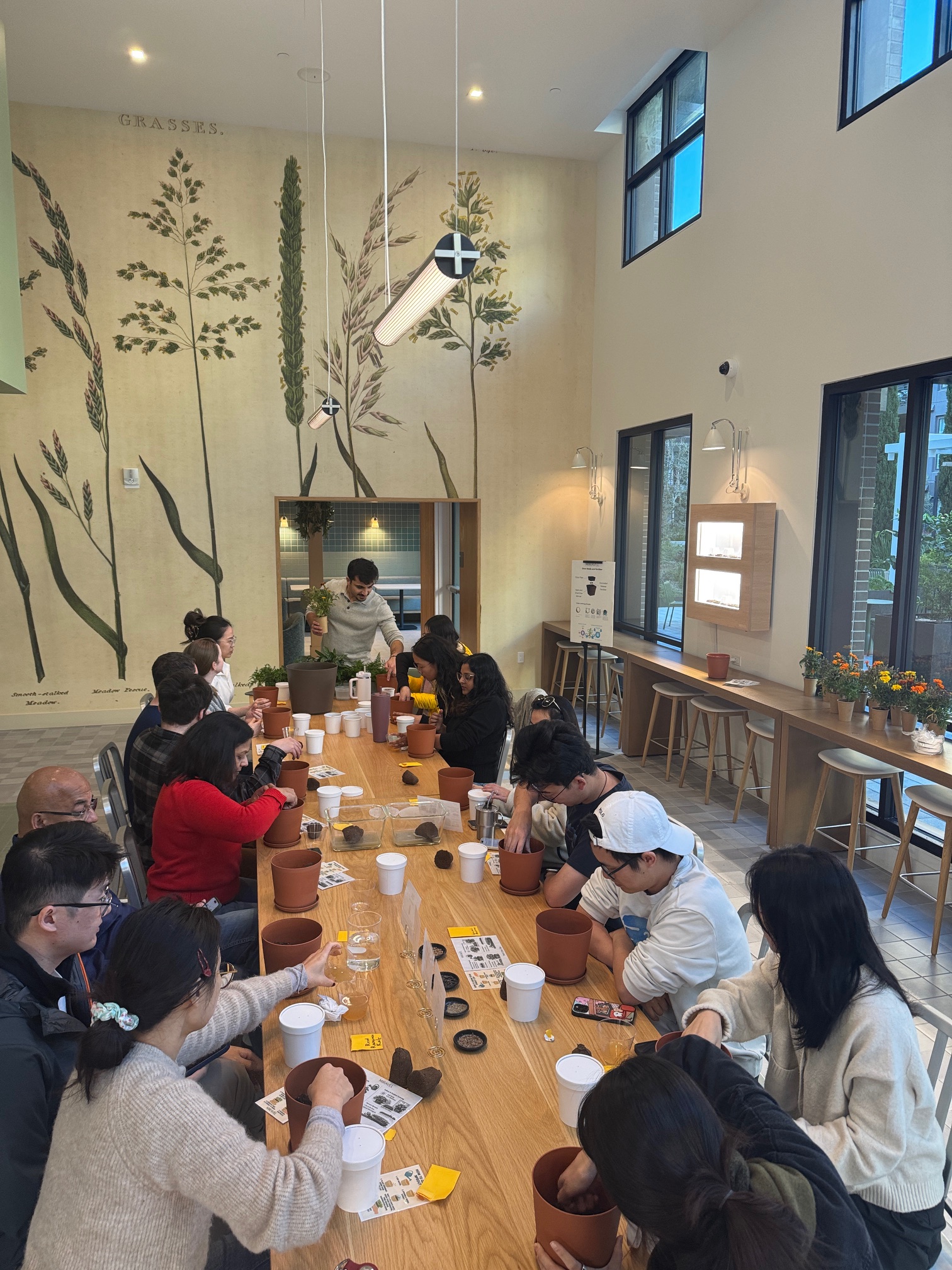 Hydroponics Workshop Image 3