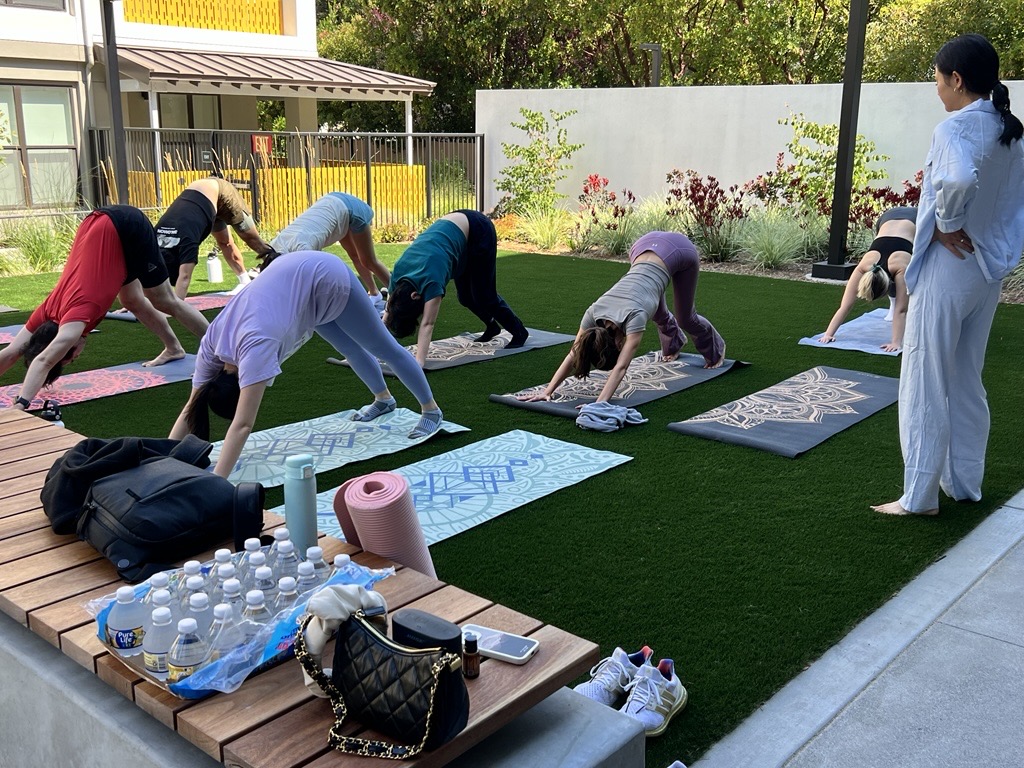 Yoga on the Lawn Image 3