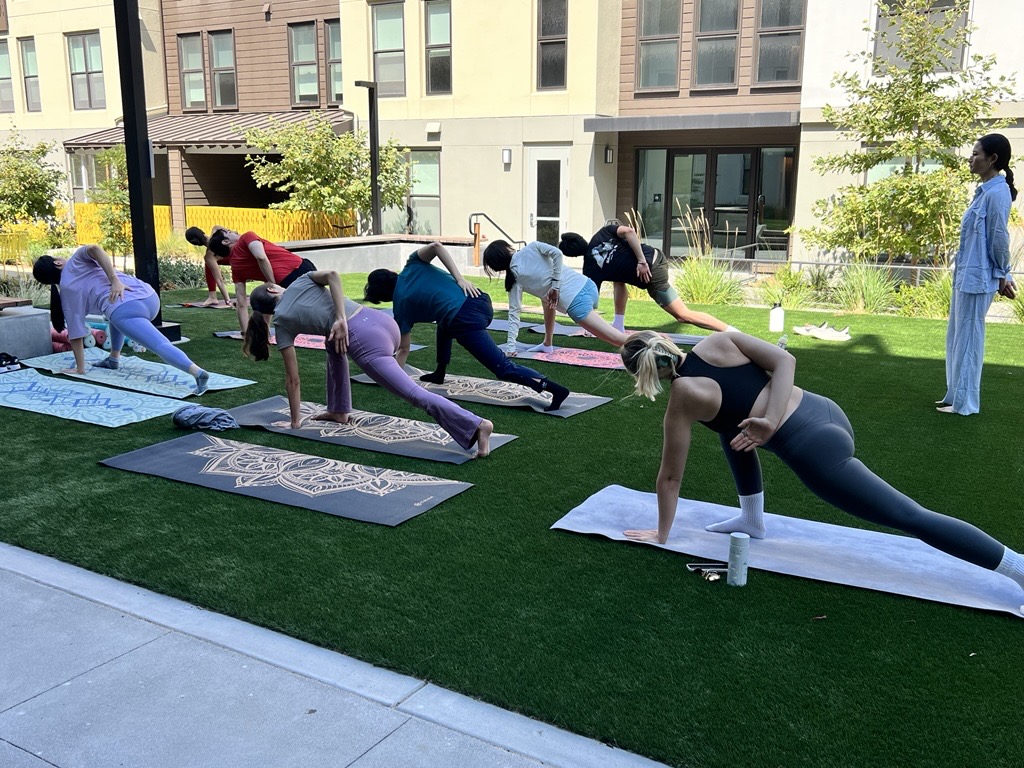 Yoga on the Lawn Image 2