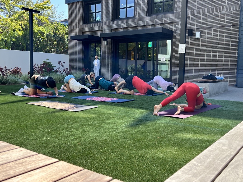 Yoga on the Lawn Image 4