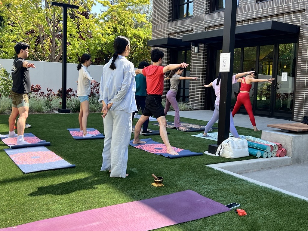 Yoga on the Lawn Image 1