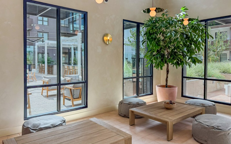 The Sanctuary (Wellness and Mindfulness) The Sanctuary (Wellness and Mindfulness)