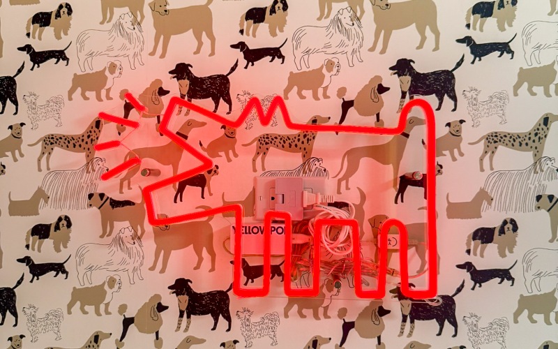 Pet Spa & Play Pet Spa & Play