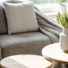 a coffee table with a plant and a couch with pillow in a living room