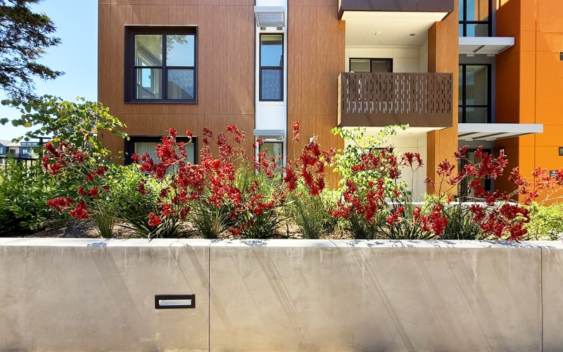 Gardens and Courtyards
