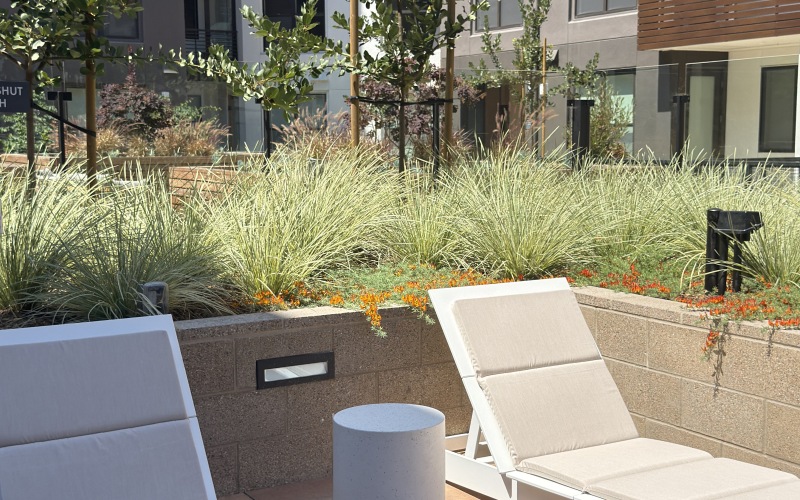 Gardens and Courtyards