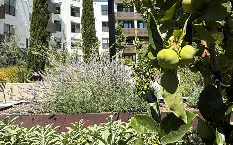Indoor and Outdoor Harvest