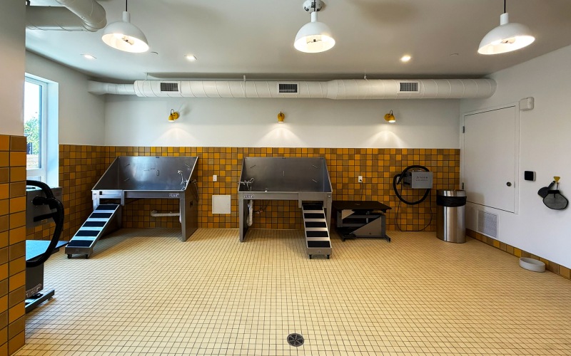 Pet Spa & Play