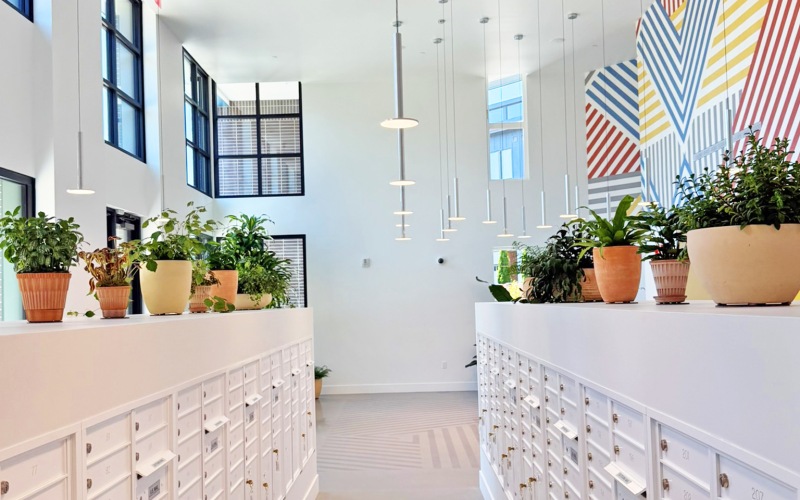 Mailroom & Lounge