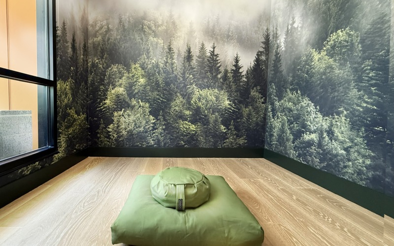 Wellness and Mindfulness 