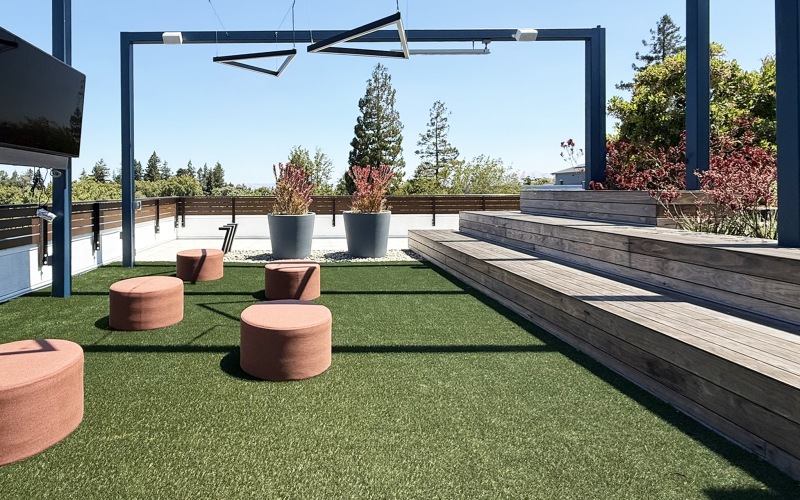 Roof Tops