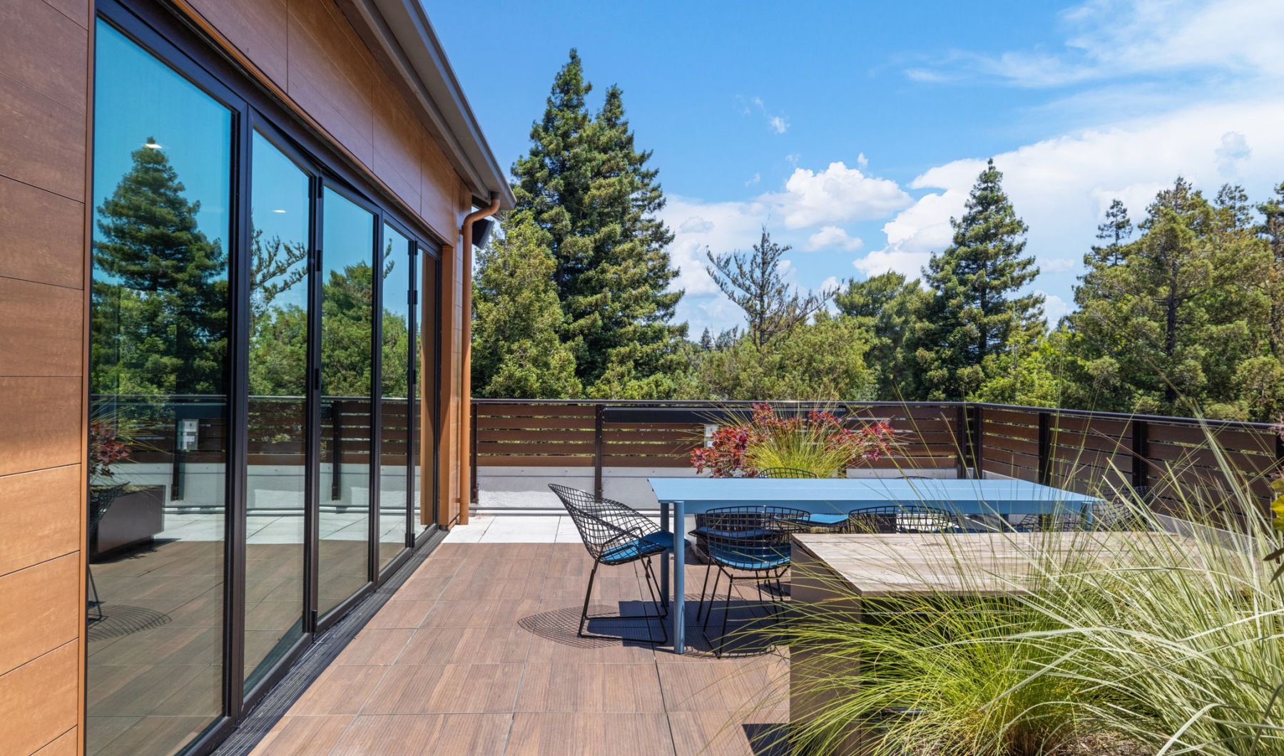 Sanctuary Meets Silicon Valley Sanctuary Meets Silicon Valley