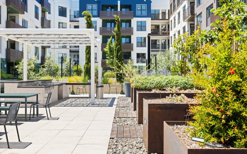 Gardens and Courtyards