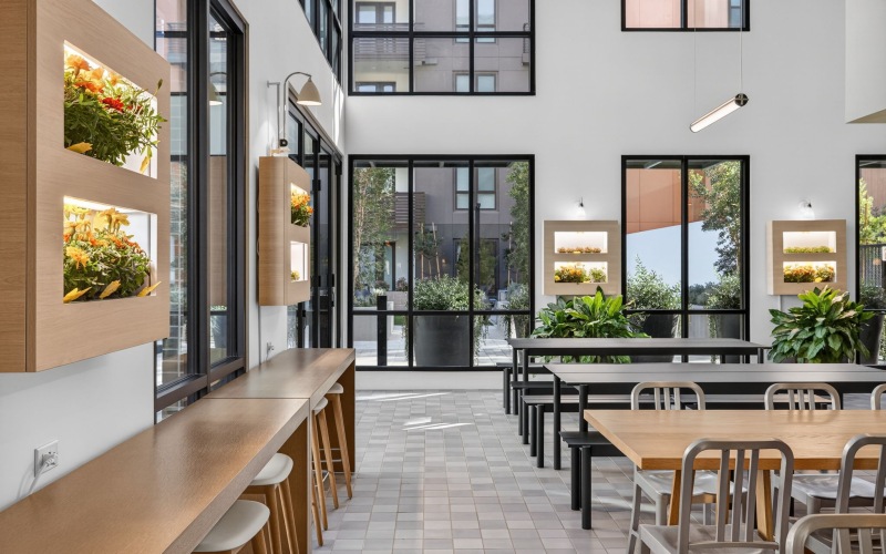 Indoor and Outdoor Harvest