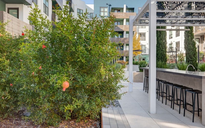 Indoor and Outdoor Harvest