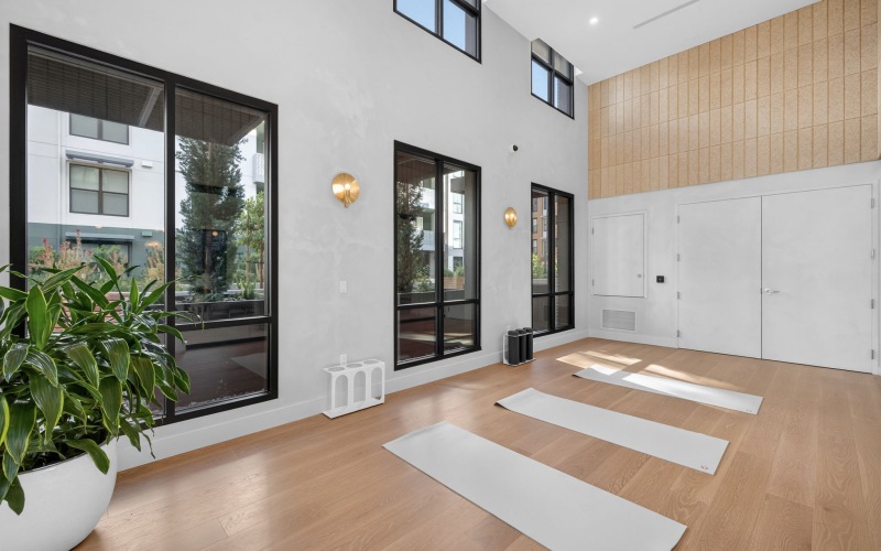 The Sanctuary (Wellness and Mindfulness)