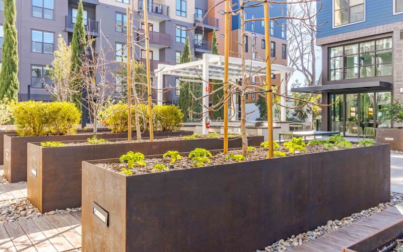 Indoor and Outdoor Harvest
