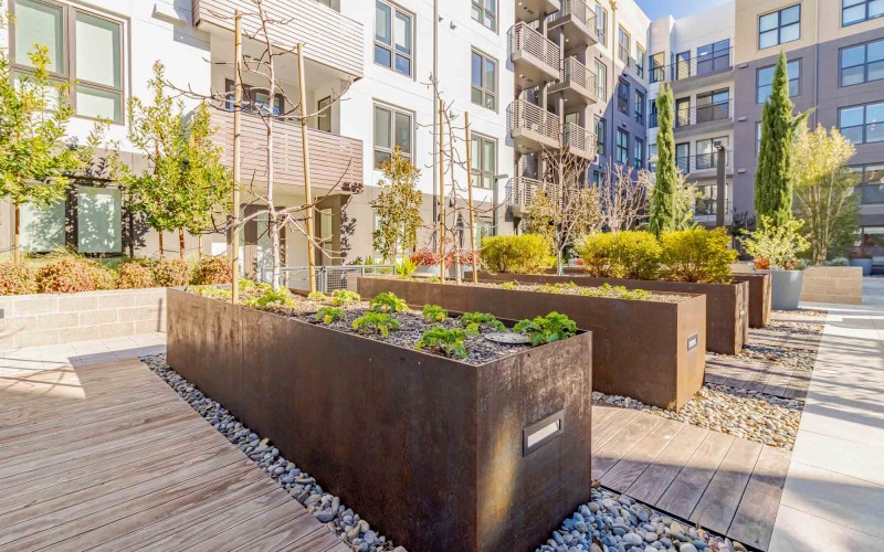 Indoor and Outdoor Harvest