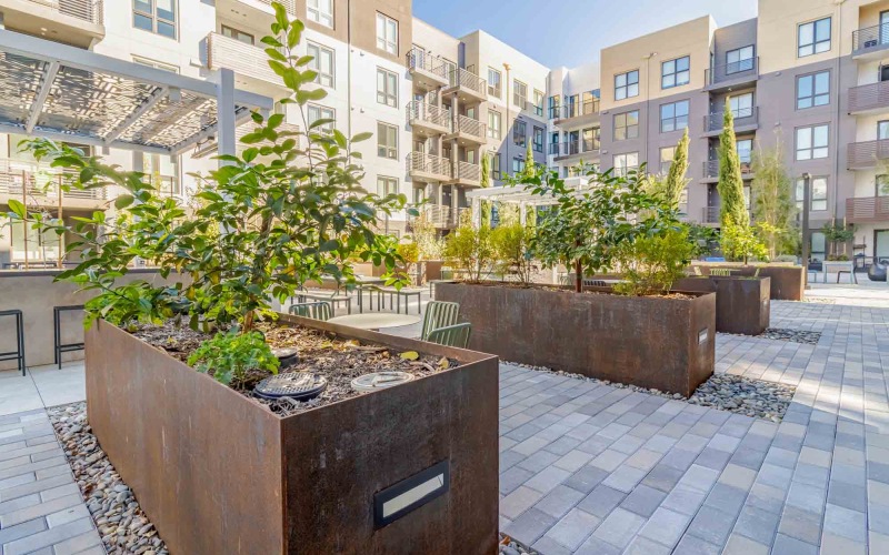Indoor and Outdoor Harvest