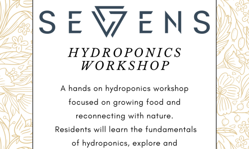 UPCOMING: Hydroponics Workshop Cover Image