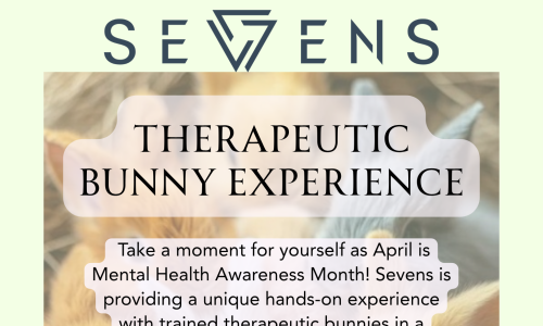 Therapeutic Bunny Experience Cover Image