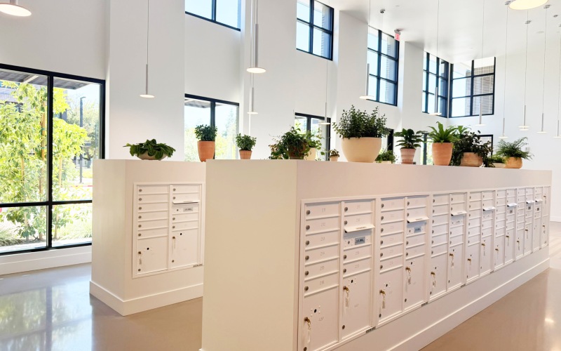 Mailroom & Lounge